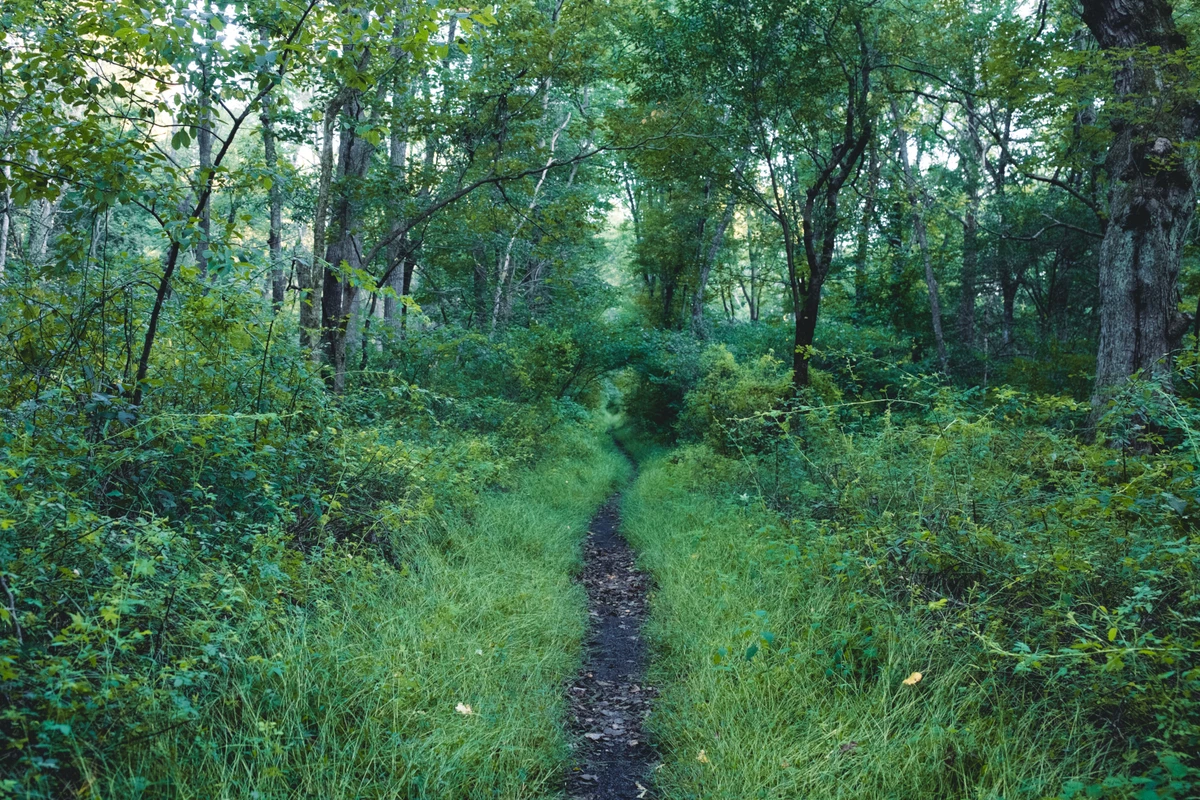 Marsh Creek Trail